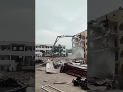 Excavadora de brazo de largo alcance