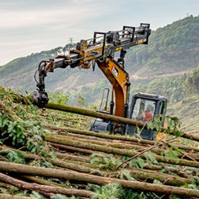 20Ton 30Ton Brazo Telescópico Brazo Pluma Telescópica Pinza Árbol